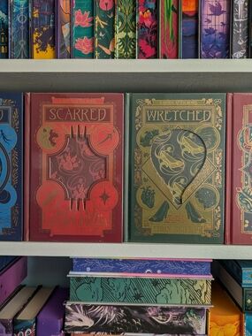 Never After by Emily McIntire set of 4 - The Bookish Box